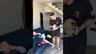 ❤️😂 Descobri que meu gato é macho - ROTINA DE PAI SOLO #vlog #comedia #vlogcomigo