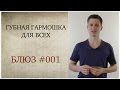 Губная гармошка для всех: Блюз #001 