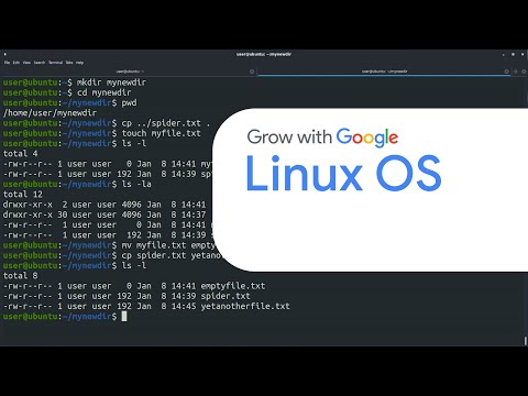 Python for Beginners | Google Advanced Data Analytics Certificate