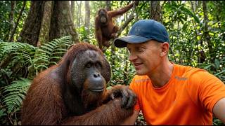 I'm Living With Wild Orangutans Deep in the Jungle