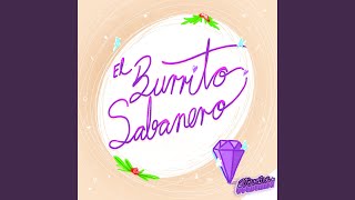 El Burrito Sabanero Music Video