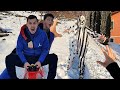 KLOVN UBICA VS ALDIN I REDŽO PARKOUR