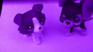 "Ready Set Go" Fan Video