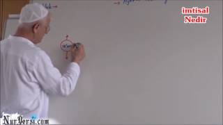 imtisal Nedir ? - YOZGATNUR