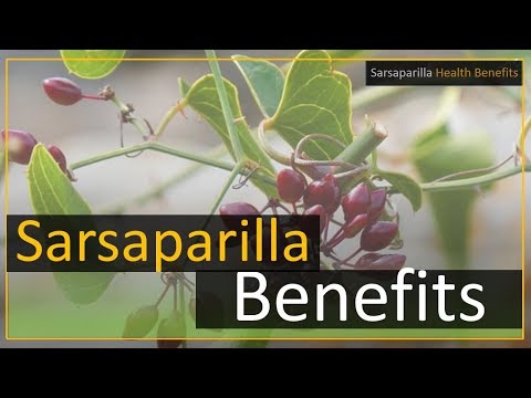 Sarsaparilla roots health benefits