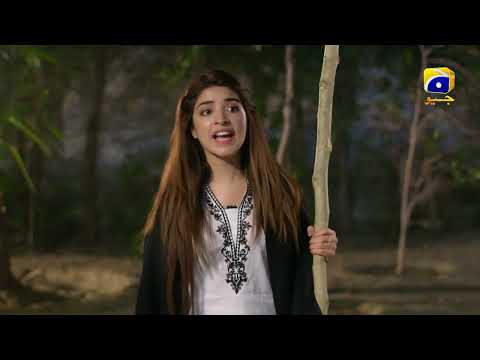 Dil Awaiz | Mega Episode 03 | Best Moment 09 | Kinza Hashmi - Affan Waheed | HAR PAL GEO