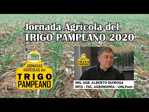 ALBERTO QUIROGA  - DE FRENTE AL CAMPO junto al SECTOR PRODUCTIVO -