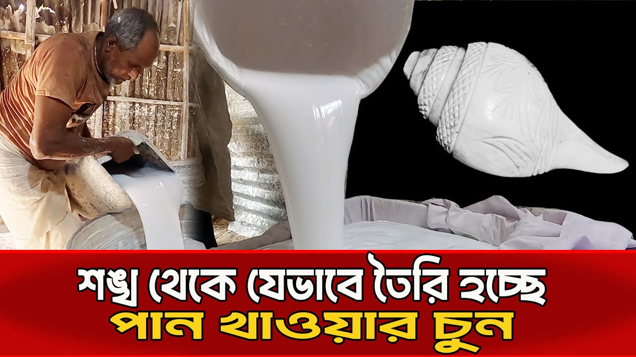 শঙ্খ থেকে চুন বানানোর অজানা রহস্য