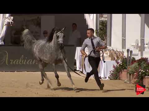 N.69 EL OMARISSA - Menton 2019