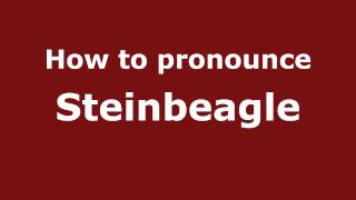 How to pronounce Steinbeagle