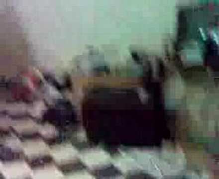 Shaima  n Eric Play With Cats - Part 1