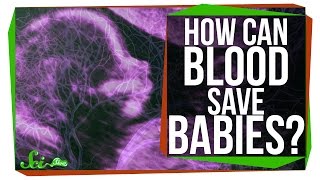 How Can One Person's Blood Save 2 Million Babies?