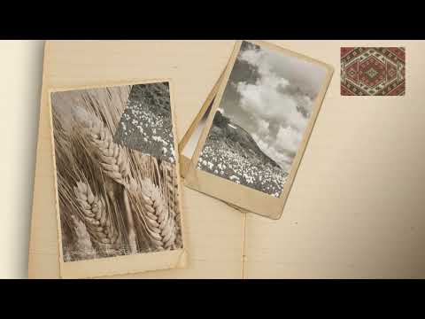 Duet Milosevic   Aleksic   Krca, krca nova kola