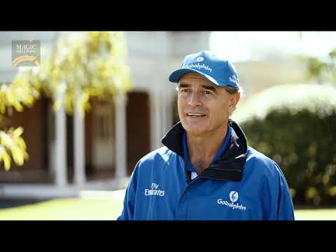 National Broodmare Sale - Godolphin