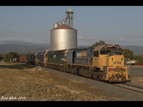 Four Locos on the Fruit Flyer: 7901V at Avoca and Dunolly- 5/2/19