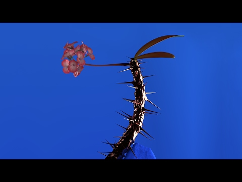 Video thumbnail for Depth Charge