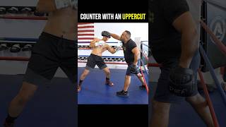 Learn This Uppercut Combo to WIN Fights