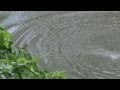 Chengaloor Fishing With Thotta MPG