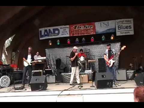 Thumbnail for Blues City Blues Band - New York City by Delbert McClinton