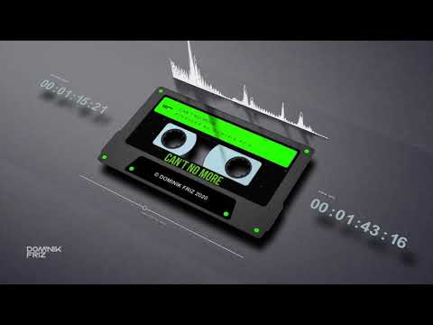 Dominik Friz - Can't No More