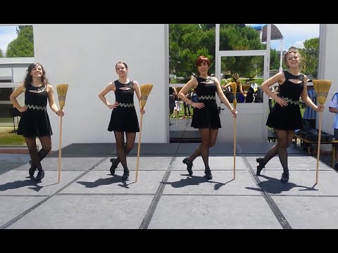 Irish Brush Dance 💚🧹