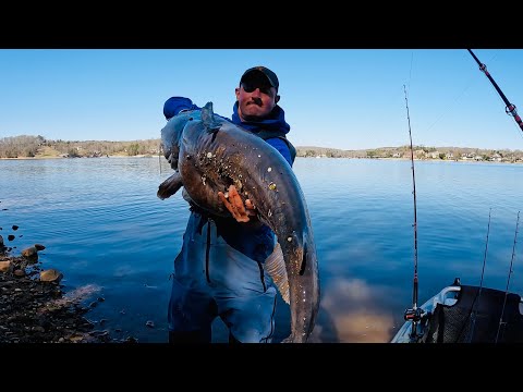 I Catch SUMO Size Catfish Using This SIMPLE Method