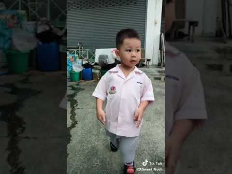 hardwell bizzey lil kleine by Newton app tiktok