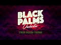 BLACK PALMS ORCHESTRA - TWIN PEAKS THEME (official video) BLACK PALMS ORCHESTRA - TWIN PEAKS THEME (official video)