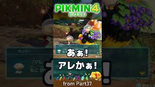 究極生命体オッチン　:37 【ピクミン4】#ゲーム実況 #pikmin4