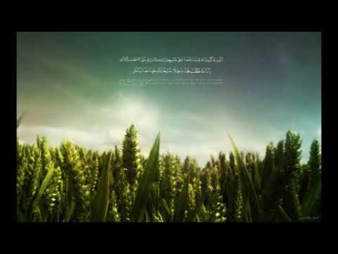 Jusuf Džafić - Hanefijski fikh (Nuru-l-idah)_13. dio - Uvod u namaz i namaska vremena