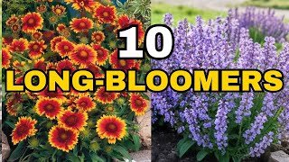 Top 10 Best LONGEST Blooming Perennial Flowers 🌼 BLOOMS THAT NEVER QUIT 💐