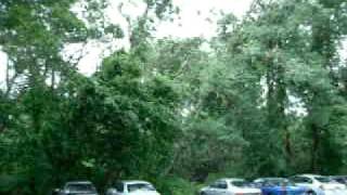 preview picture of video 'Gusts of wind courtesy of Hurricane Irene'