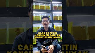 Download lagu Betta fish seller's secret! Check out the full details #fishkinian #cupangfish #cupangfish #cupan... mp3 Download lagu Betta fish seller's secret! Check out the full details #fishkinian #cupangfish #cupangfish #cupan... mp3