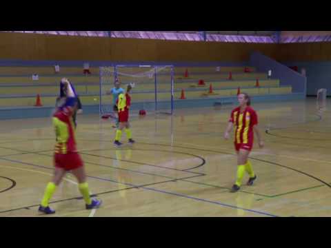 South Brisbane vs Peninsula - SEQFPL - Open Women Semi Final 2016-2017