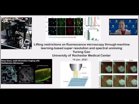 Fluorescence Microscopy Through Machine Learning-based Super Resolution and Spectral Unmixing