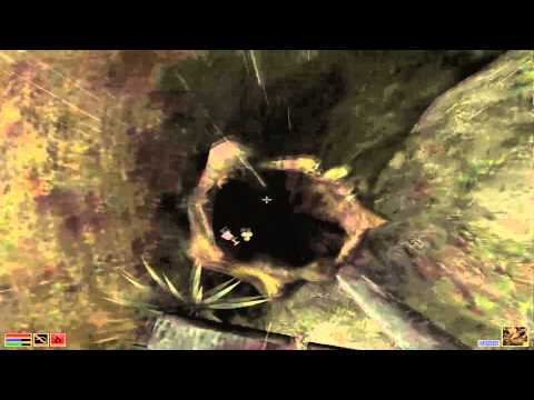 Morrowind - Super soluce - Seyda neen - 6.Things you should see...