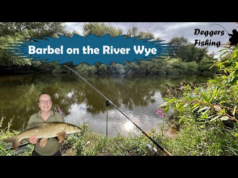 Barbel on the River Wye
