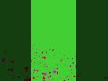 Confetti Burst Green Screen Effect With Sound HD FREE DOWNLOAD