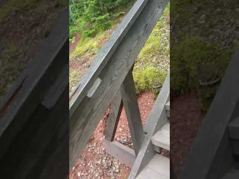 Trappan vid Kvarntorp är så rolig...