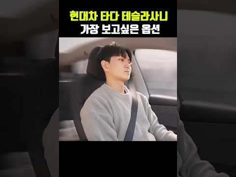 국산차 팔고, 테슬라 사보니 가장 보고싶은 옵션은...?