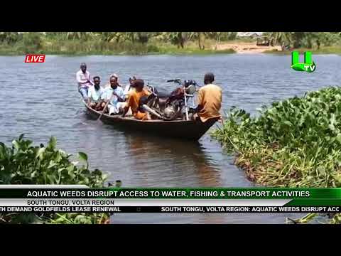 PRIME TIME NEWS 26/08/2026