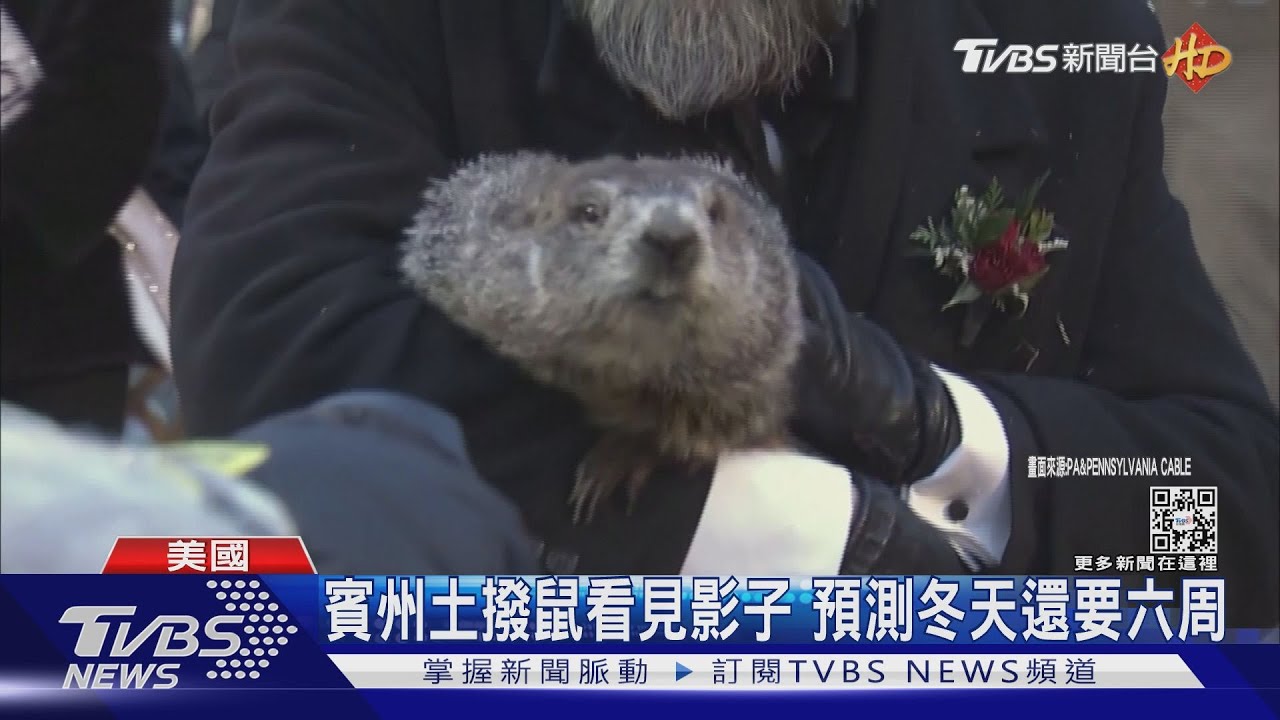 冬季風暴再襲美國 賓州土撥鼠預測冬天還要再6週