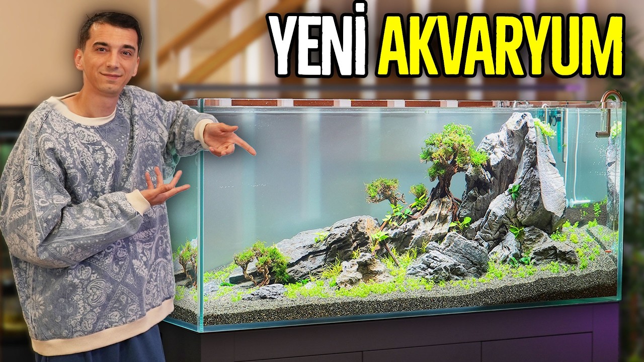 Akvaryumumu Sıfırdan Tasarladım!