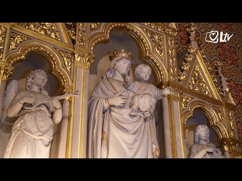 Pregled dana - Mons. Đuro Hranić: Čin posvete Rusije i Ukrajine Bezgrešnom Srcu Marijinu