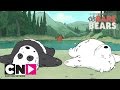 Picknick | Wat Beren Leren | Cartoon Network