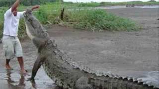 Rolf Harris :: Never Smile at a Crocodile (with lyrics)