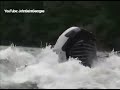 Carnage Reel From Rafting In The Late 1990s And Early 2000s In West Virginia