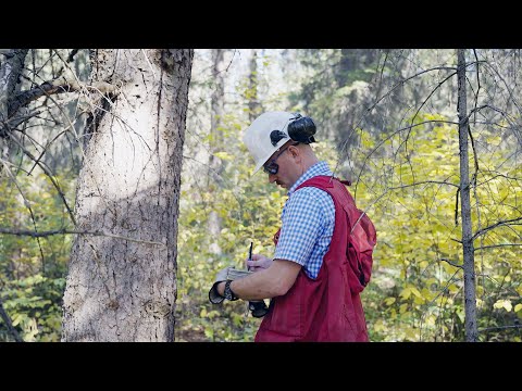 Occupational Video - Forester