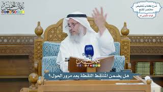 4413 - هل يضمن المُلتَقِط اللقطة بعد مرور الحول؟ - عثمان الخميس