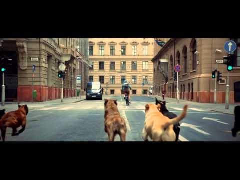 White God / Beyaz Tanrı - Fragman